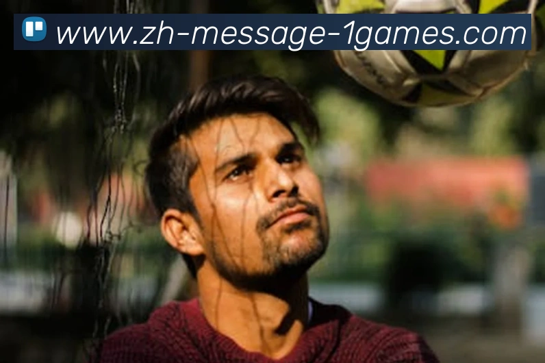 App Interface Preview